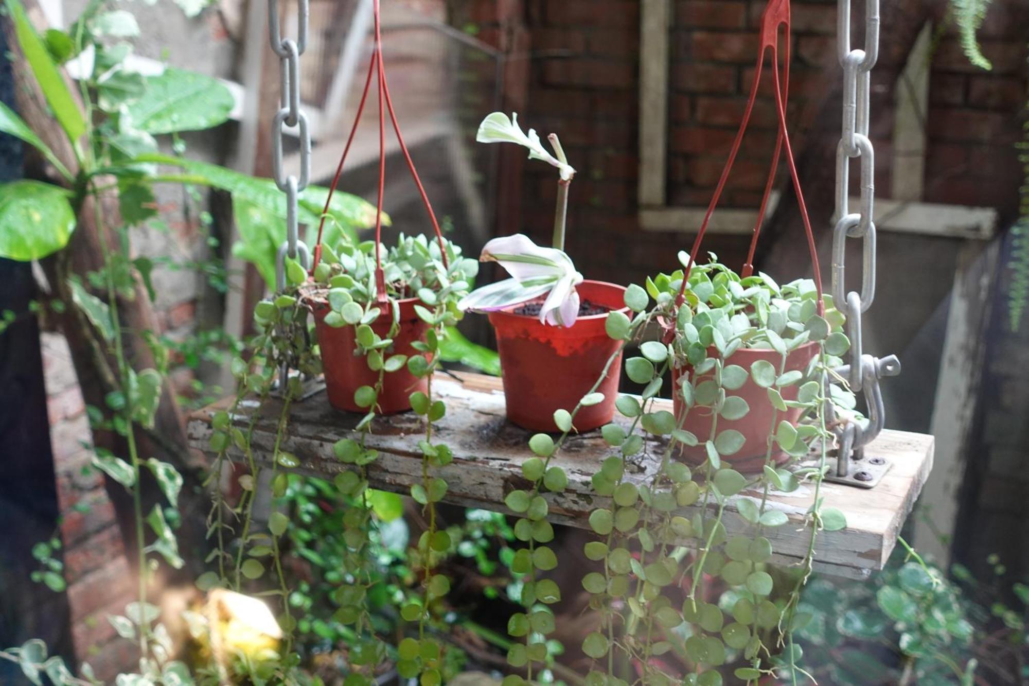 Fuqi Hostel - Heping Tainan Zewnętrze zdjęcie